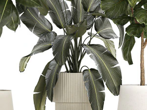Set of beautiful plants and trees in pots for decoration 1322 3D Model