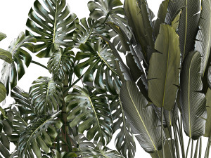 Set of beautiful plants and trees in pots for decoration 1322 3D मॉडल