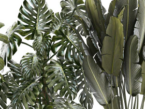 Set of beautiful plants and trees in pots for decoration 1322 3D Model
