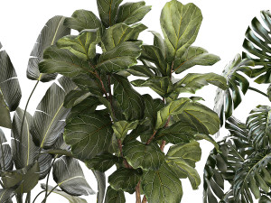 Set of beautiful plants and trees in pots for decoration 1322 3D मॉडल