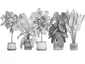 Set of beautiful plants and trees in pots for decoration 1322 3D मॉडल