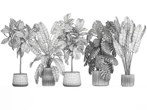 Set of beautiful plants and trees in pots for decoration 1322 3D Model