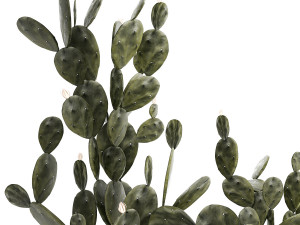 Set of beautiful prickly pear cacti in pots for interior 1334 3D-Modell