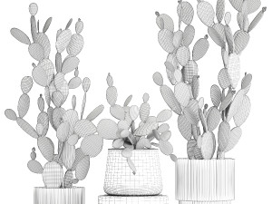Set of beautiful prickly pear cacti in pots for interior 1334 3D-Modell