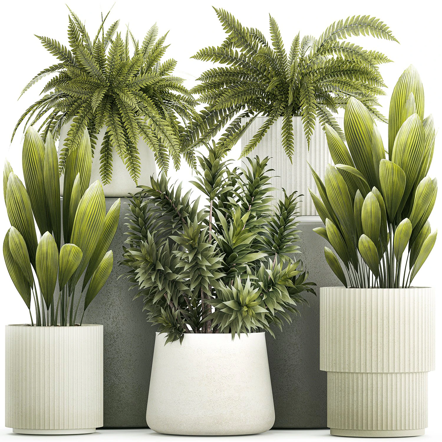 Set of beautiful fern and Dracaena plants in pots for interior 1335 3D Model .c4d .max .obj .3ds .fbx .stl .blend 