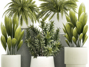 Set of beautiful fern and Dracaena plants in pots for interior 1335 3D Model