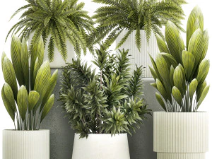 Seperangkat tanaman pakis dan Dracaena yang indah dalam pot untuk interior 1335 Model 3D