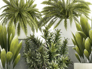 Set of beautiful fern and Dracaena plants in pots for interior 1335 3D Model