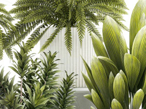 Set of beautiful fern and Dracaena plants in pots for interior 1335 3D Model