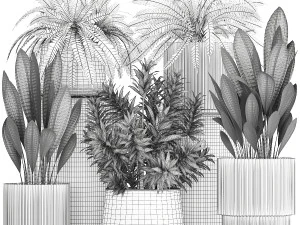 Set of beautiful fern and Dracaena plants in pots for interior 1335 3D Model