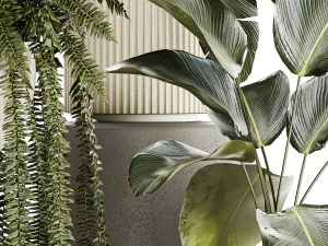 Set of beautiful fern and Strelitzia plants in pots for interior 1336 3D Model