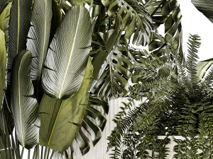Set of beautiful fern and Strelitzia plants in pots for interior 1336 3D Model