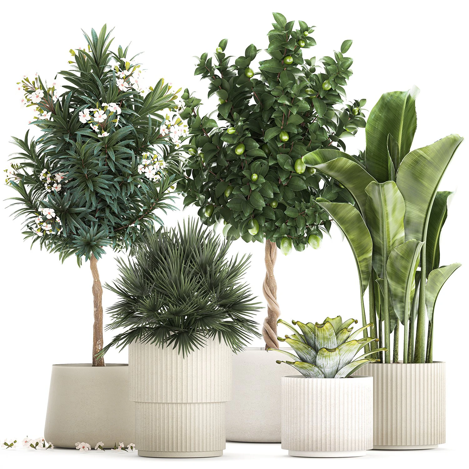 Set of beautiful plants lemon tree palm tree potted 1337 3D Model .c4d .max .obj .3ds .fbx .stl .blend 