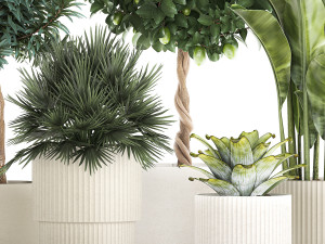 Set of beautiful plants lemon tree palm tree potted 1337 3D Модель
