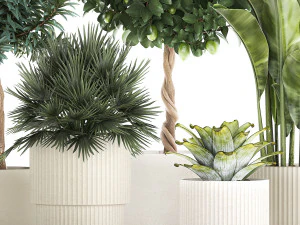 Set of beautiful plants lemon tree palm tree potted 1337 3D Model