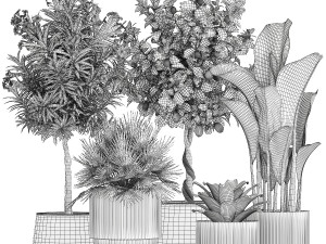 Set of beautiful plants lemon tree palm tree potted 1337 3D Модель