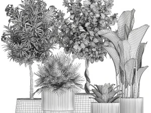 Set of beautiful plants lemon tree palm tree potted 1337 3D Model