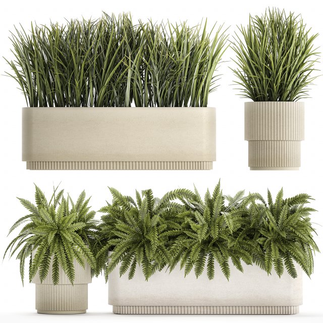 Beautiful fern plants and grass bushes in pots for decoration 1338 3D Model .c4d .max .obj .3ds .fbx .stl .blend 