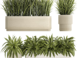 Beautiful fern plants and grass bushes in pots for decoration 1338 3D Model