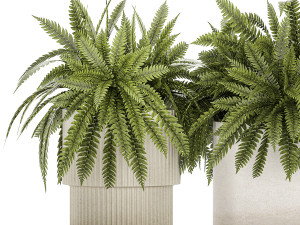 Beautiful fern plants and grass bushes in pots for decoration 1338 3D Model