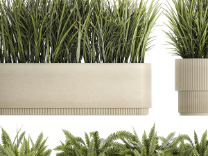 Beautiful fern plants and grass bushes in pots for decoration 1338 3D Model