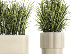 Beautiful fern plants and grass bushes in pots for decoration 1338 3D Model