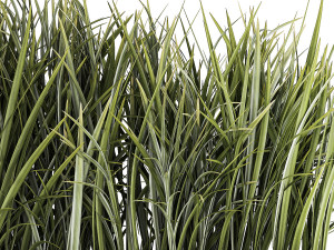 Beautiful fern plants and grass bushes in pots for decoration 1338 3D Model