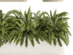 Beautiful fern plants and grass bushes in pots for decoration 1338 3D Model