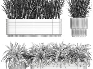 Beautiful fern plants and grass bushes in pots for decoration 1338 3D Model