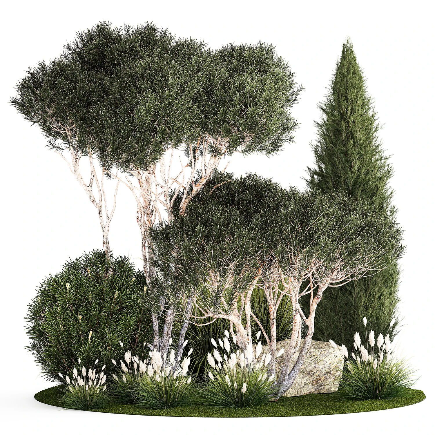 Beautiful plants alpine hill pine bonsai bushes grass 1339 3D Model .c4d .max .obj .3ds .fbx .stl .blend