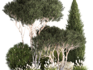 Beautiful plants alpine hill pine bonsai bushes grass 1339 3D Model