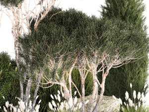 Beautiful plants alpine hill pine bonsai bushes grass 1339 3D Model