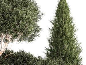 Beautiful plants alpine hill pine bonsai bushes grass 1339 3D 模型