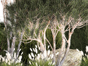 Beautiful plants alpine hill pine bonsai bushes grass 1339 3D 模型