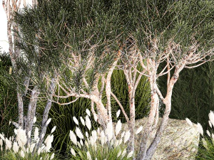 Beautiful plants alpine hill pine bonsai bushes grass 1339 3D Model