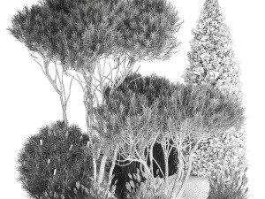 Beautiful plants alpine hill pine bonsai bushes grass 1339 3D 模型