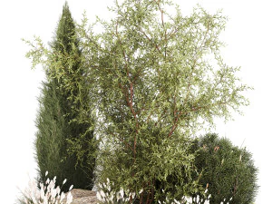 トゥジャ松盆栽の庭の美しい植物の茂み草 1340 3Dモデル