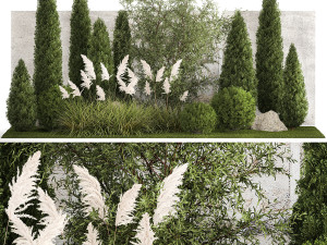 Beautiful garden of thuja cypress topiary bushes grass 1341 3D Model
