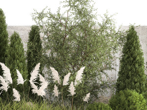 Beautiful garden of thuja cypress topiary bushes grass 1341 3D-Modell