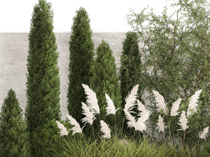 Beautiful garden of thuja cypress topiary bushes grass 1341 3D-Modell