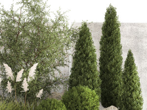Beautiful garden of thuja cypress topiary bushes grass 1341 3D-Modell
