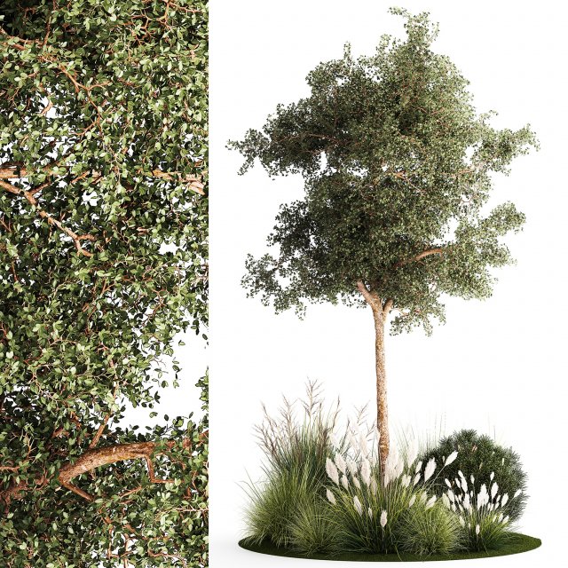 Beautiful garden made of topiary tree bushes grass 1342 3D 模型 .c4d .max .obj .3ds .fbx .stl .blend 