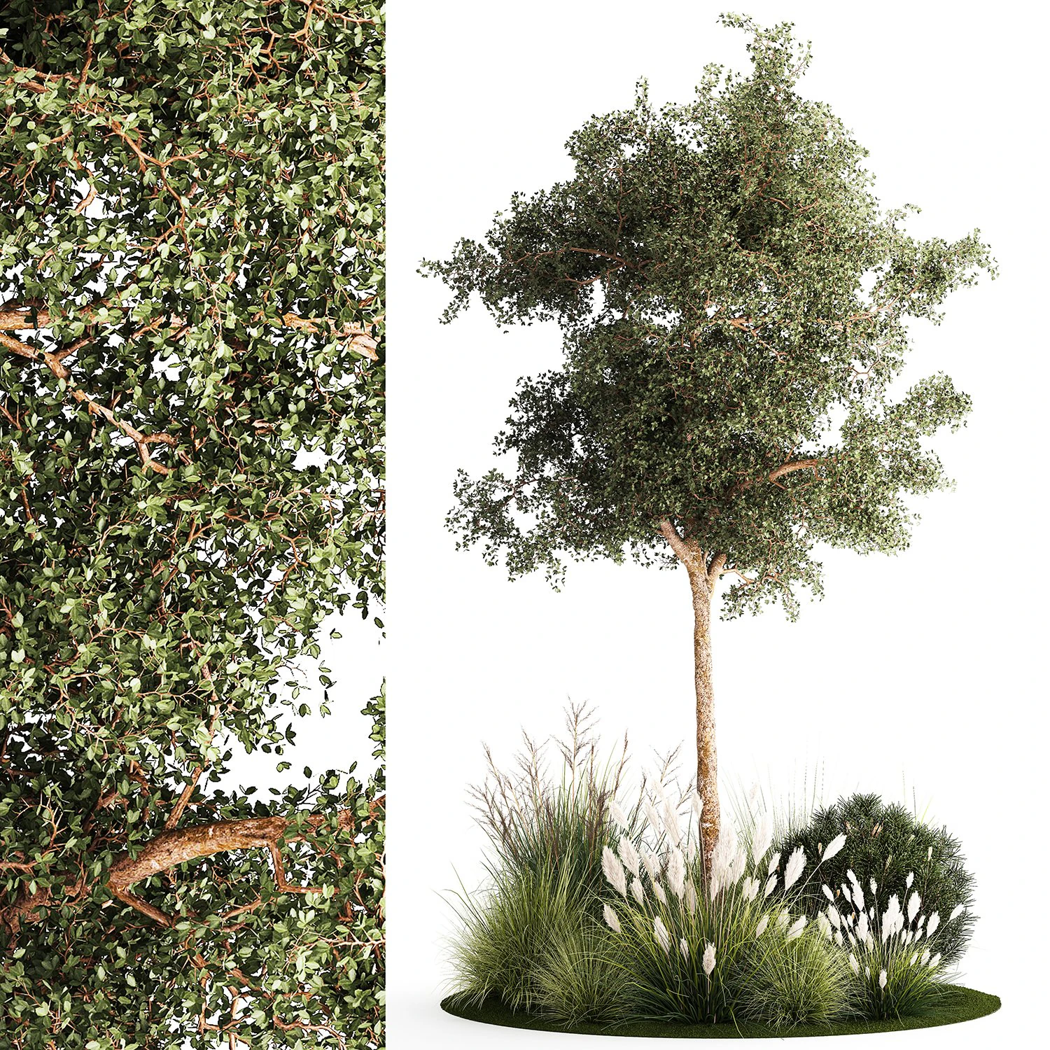 Beautiful garden made of topiary tree bushes grass 1342 3D Model .c4d .max .obj .3ds .fbx .stl .blend 