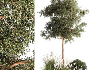 टोपरी वृक्ष झाड़ियों घास से बना सुंदर उद्यान 1342 3D मॉडल