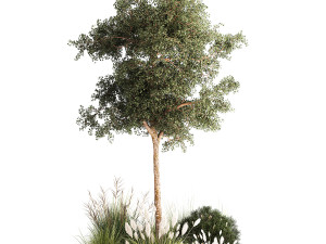 Beautiful garden made of topiary tree bushes grass 1342 3D 模型
