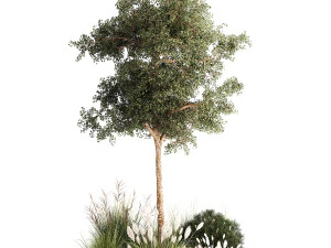Beautiful garden made of topiary tree bushes grass 1342 3D Model