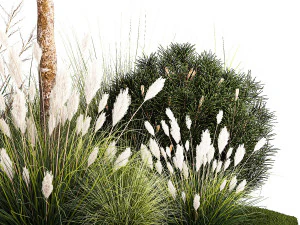 Beautiful garden made of topiary tree bushes grass 1342 3D Model