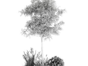 Beautiful garden made of topiary tree bushes grass 1342 3D 模型
