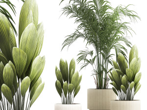 Beautiful palm plants and bushes in flower pots 1343 Modèle 3D