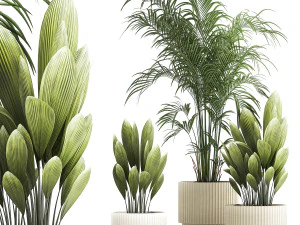 Prachtige palmplanten en struiken in bloempotten 1343 3D Model